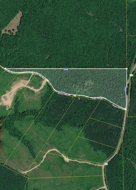 0 Old State Highway 69 Property Photo 3