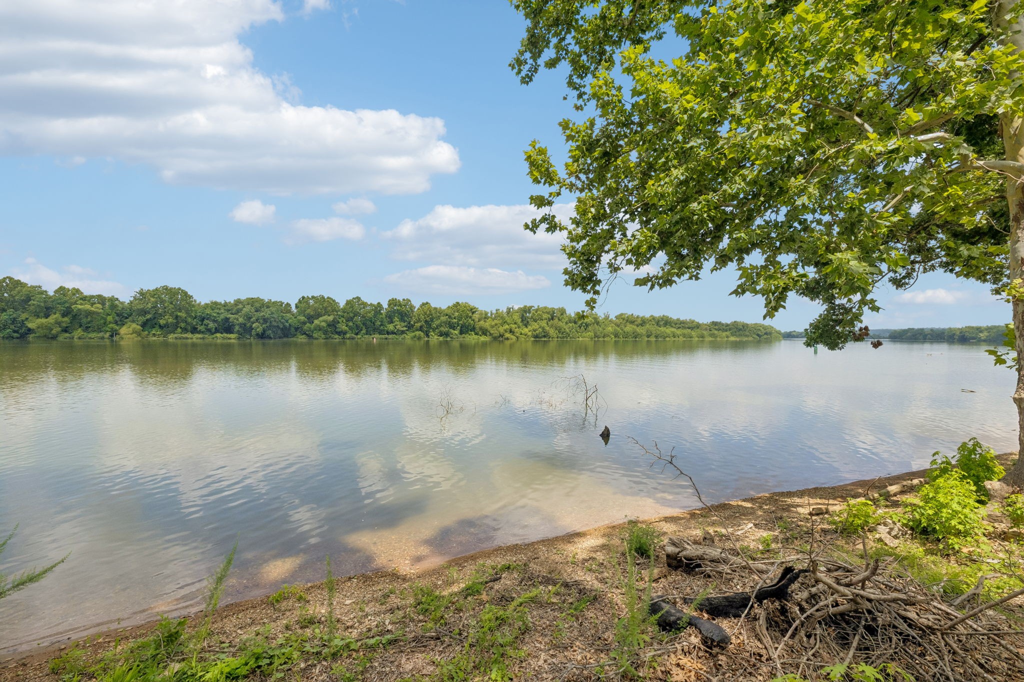 194 Lakeshore Cir