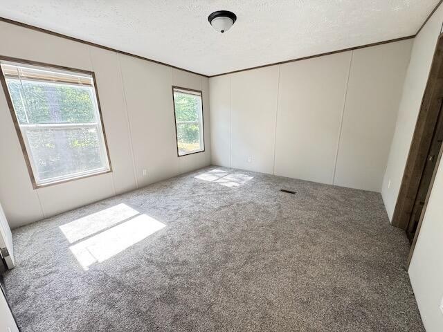 219 Maddron Road Property Photo 22