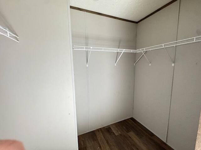219 Maddron Road Property Photo 26