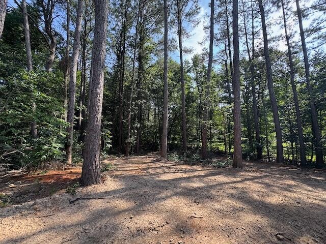 219 Maddron Road Property Photo 34