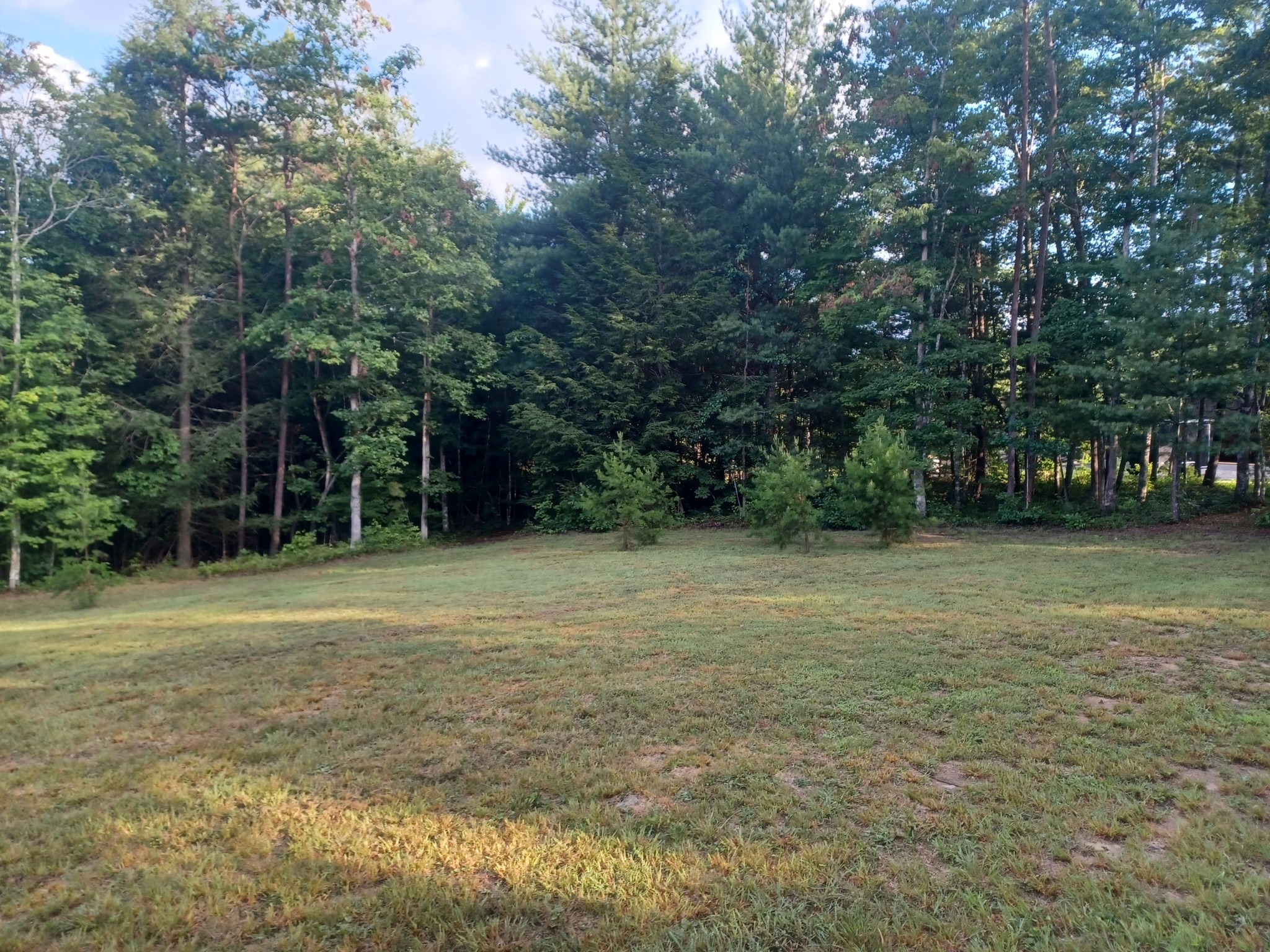 0 Cowboy Way Property Photo 6