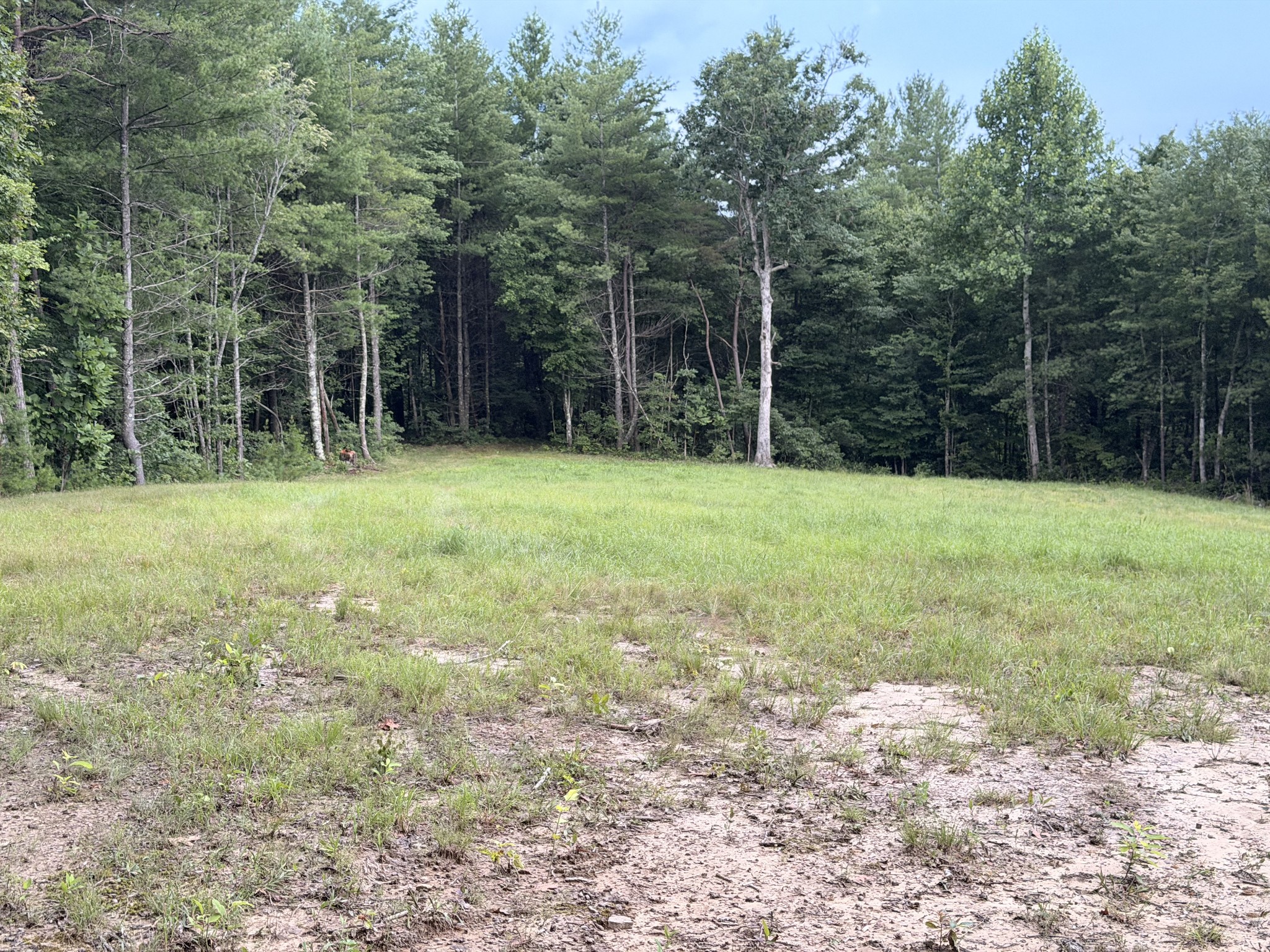 0 Cowboy Way Property Photo 15