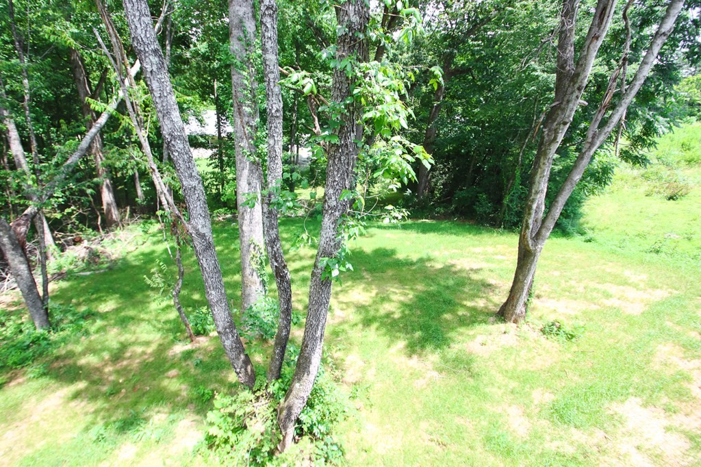 401 Crossvine Rd Property Photo 17