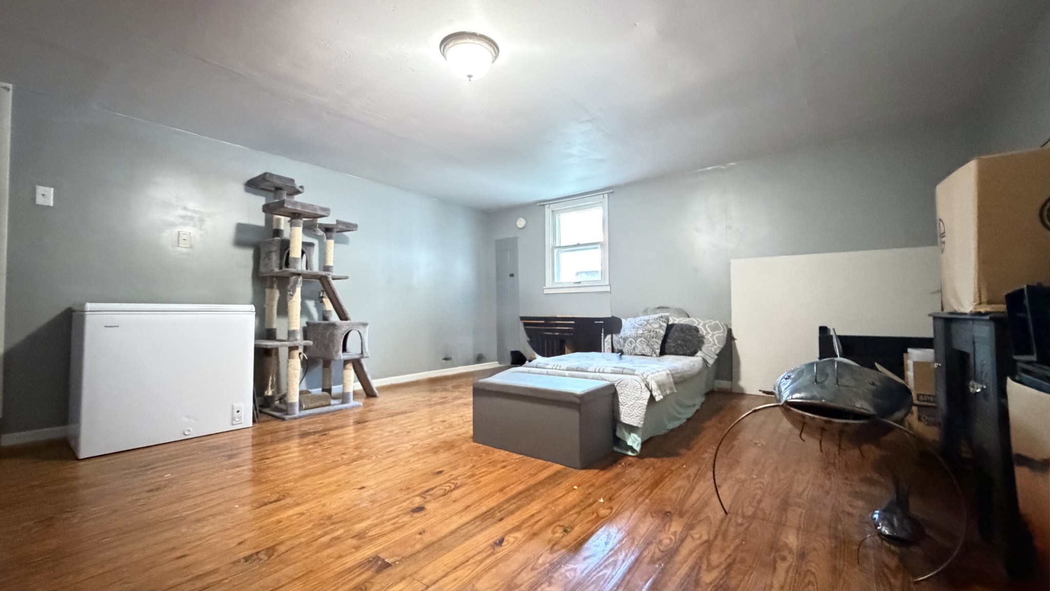 203 Montague St Property Photo 25