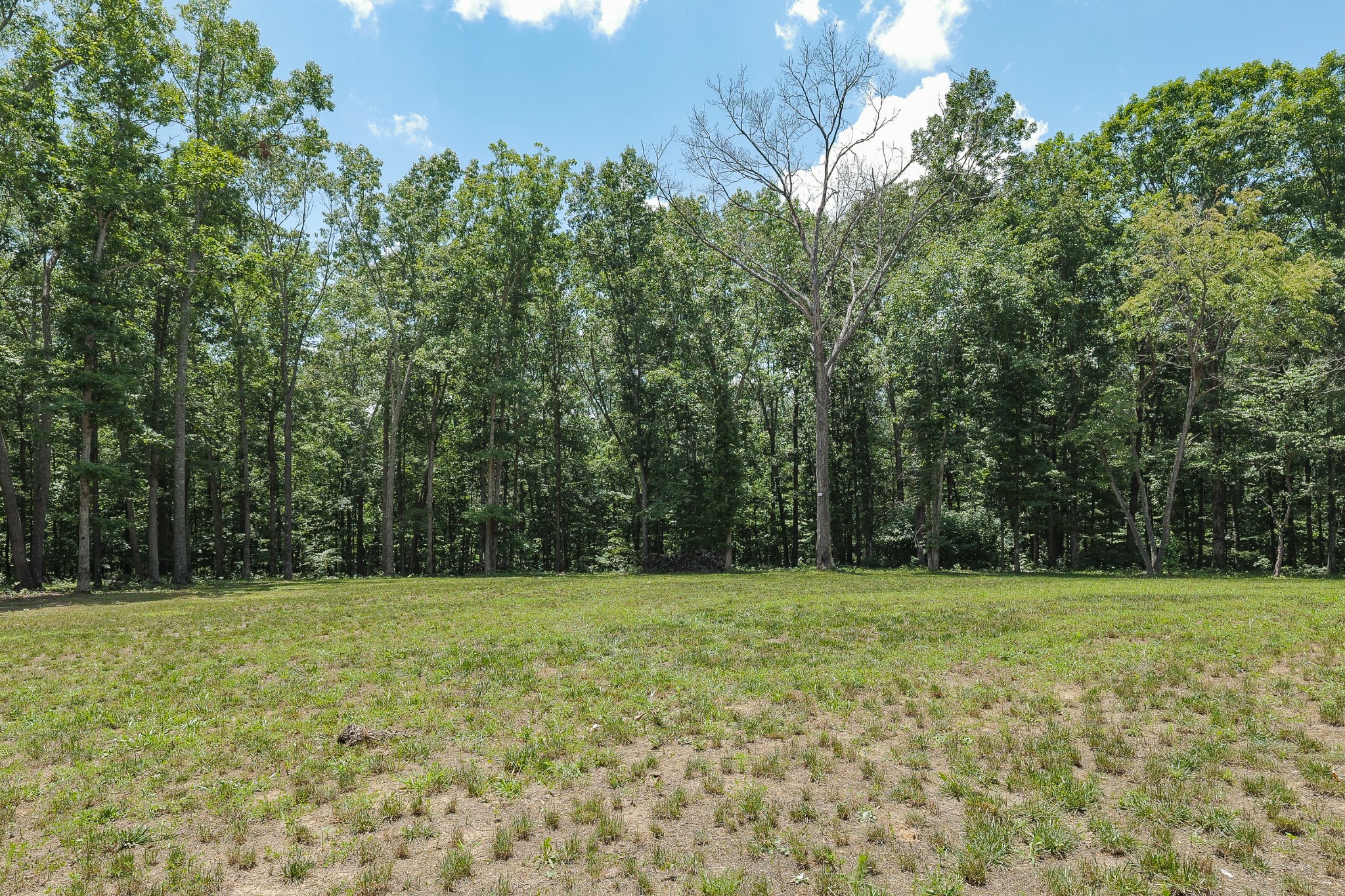 2200 Little Texas Rd Property Photo 56