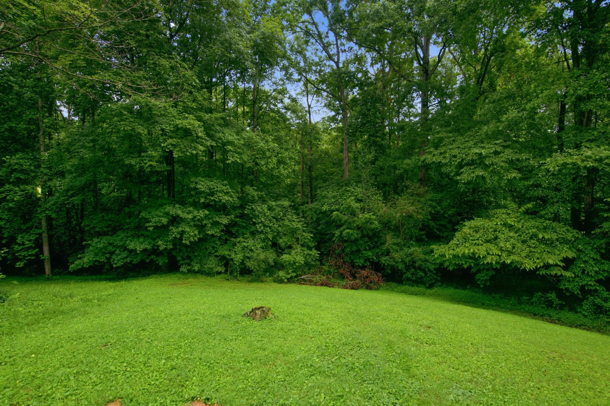 958 Jordan Cir Property Photo 36