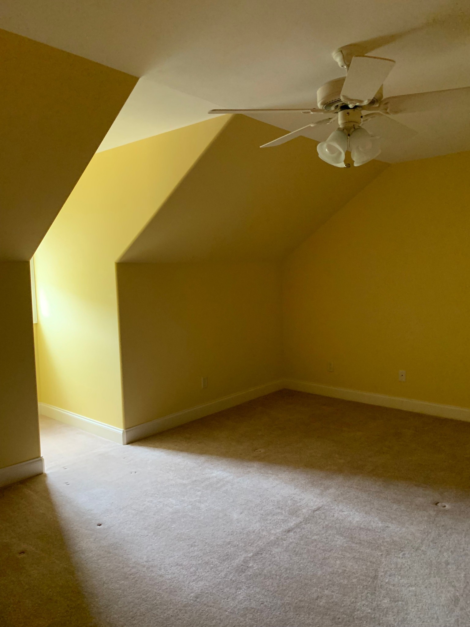 136 Nickolas Cir Property Photo 13