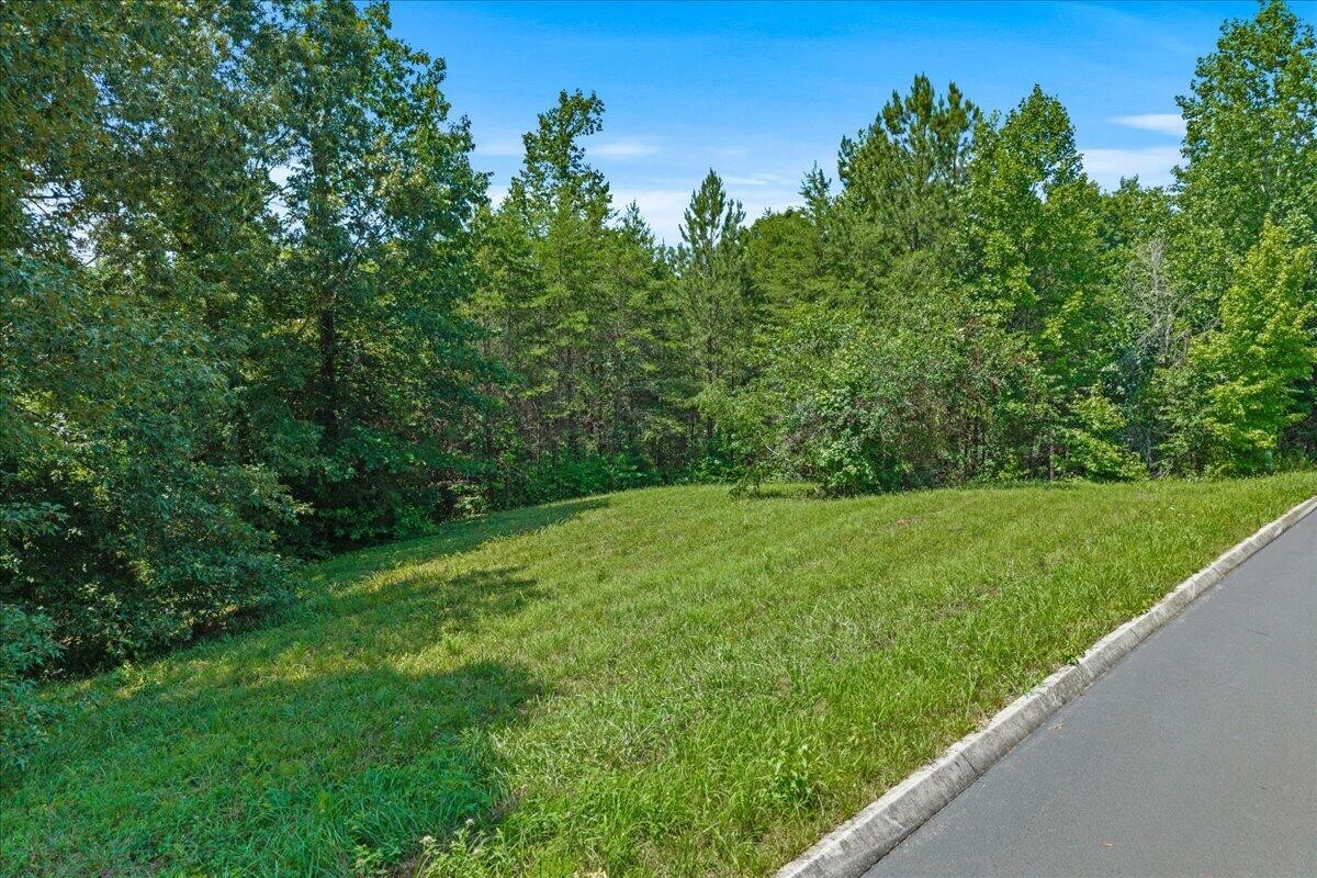 16 Copper Still Way Drive Property Photo 1