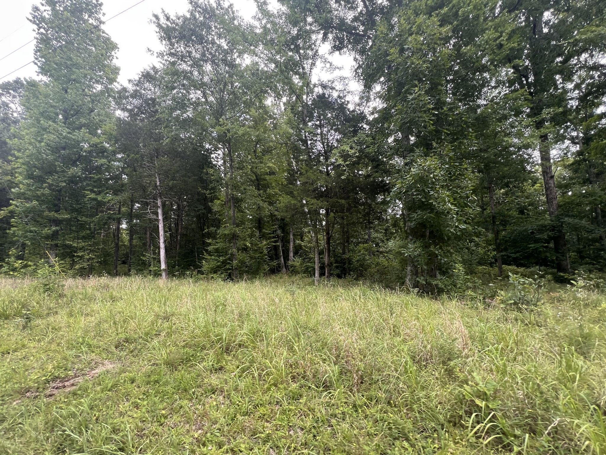 2 Toms Creek Lake Rd Property Photo 1