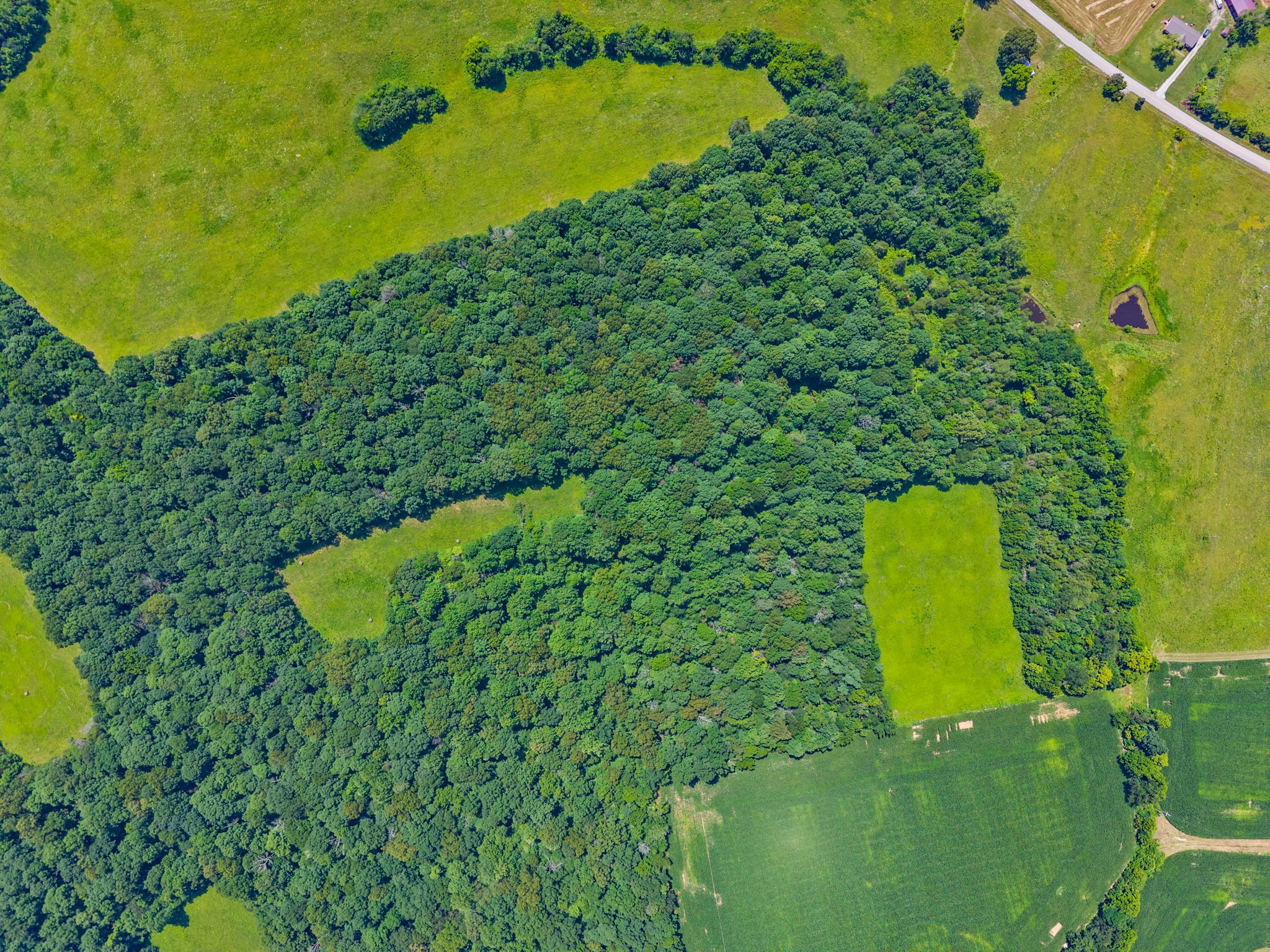 0 Highway 672 Property Photo 4