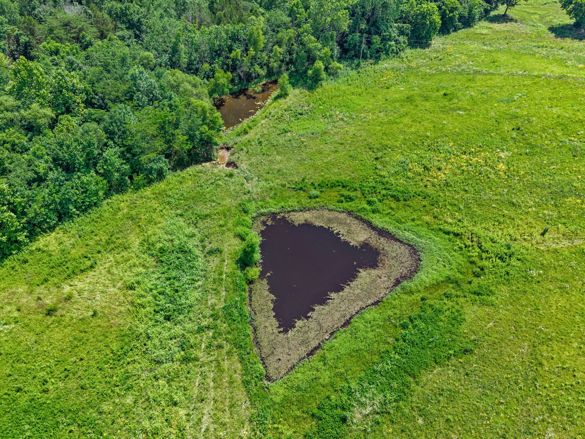 0 Highway 672 Property Photo 21