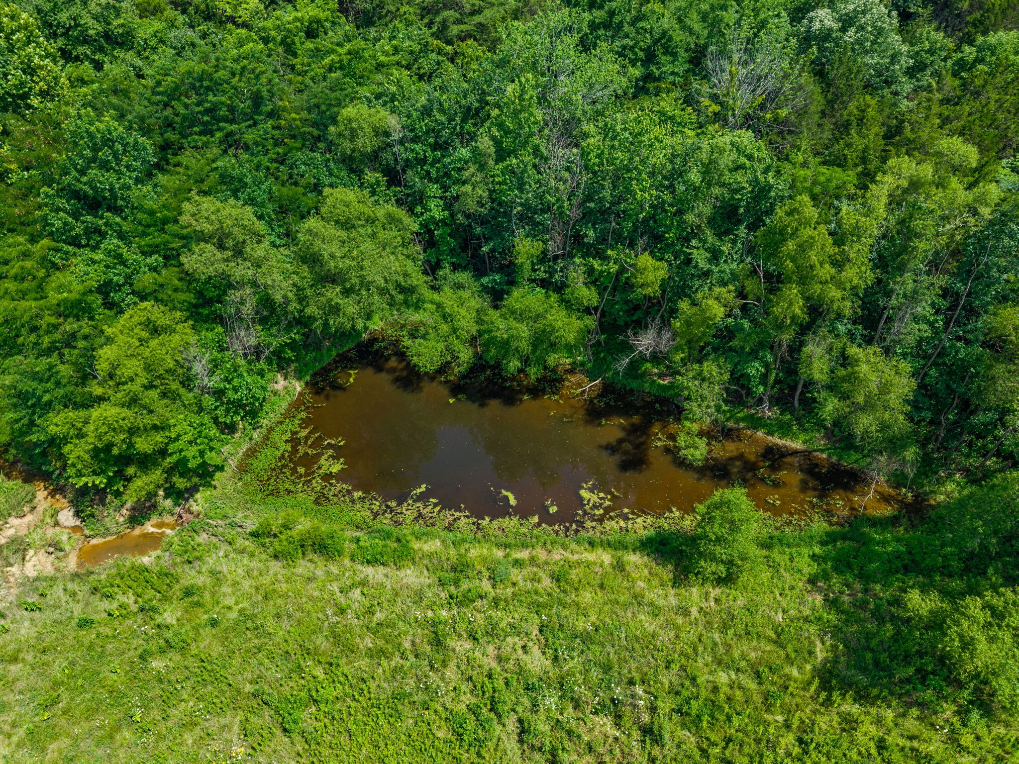 0 Highway 672 Property Photo 23