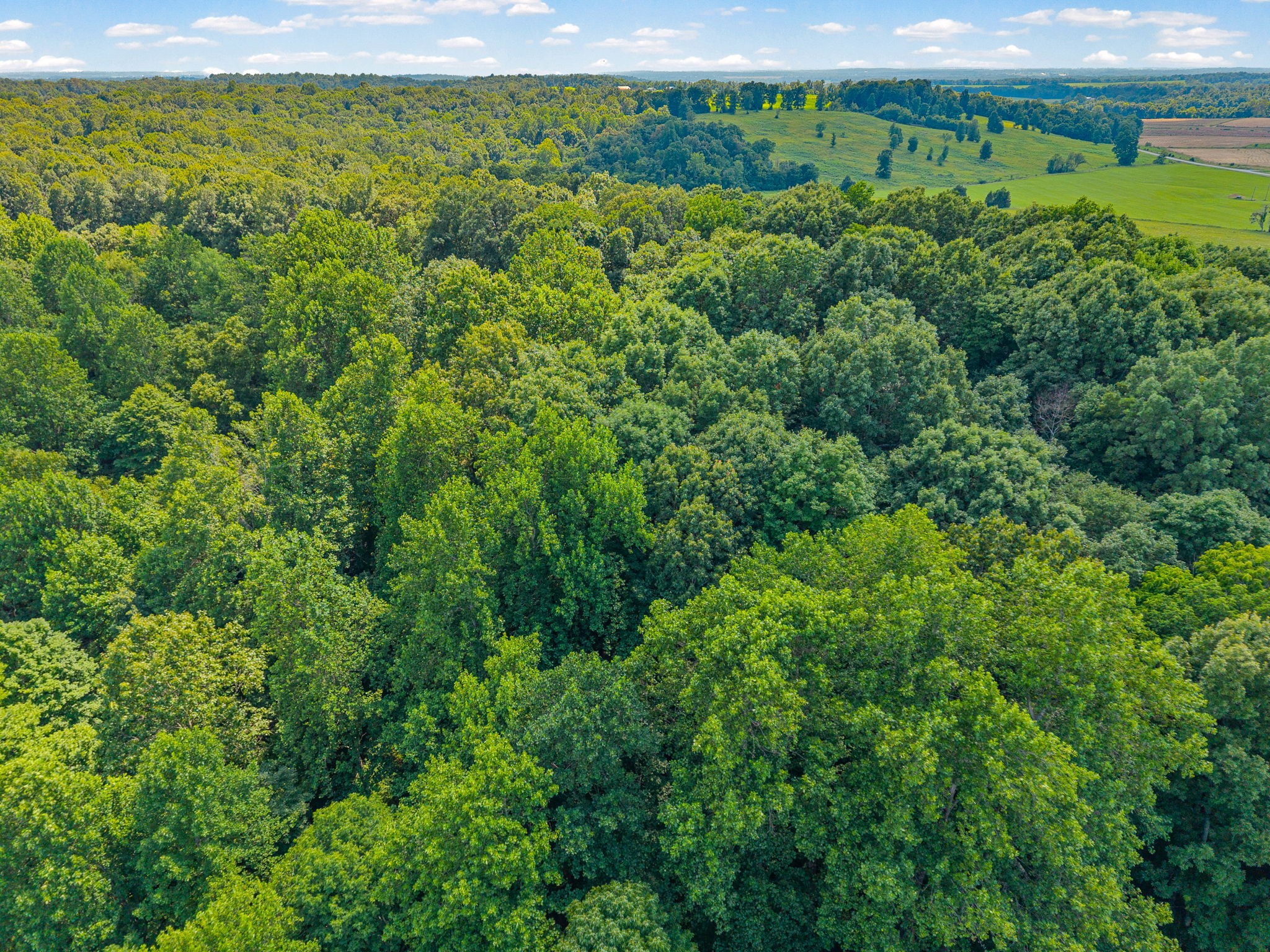0 Highway 672 Property Photo 31