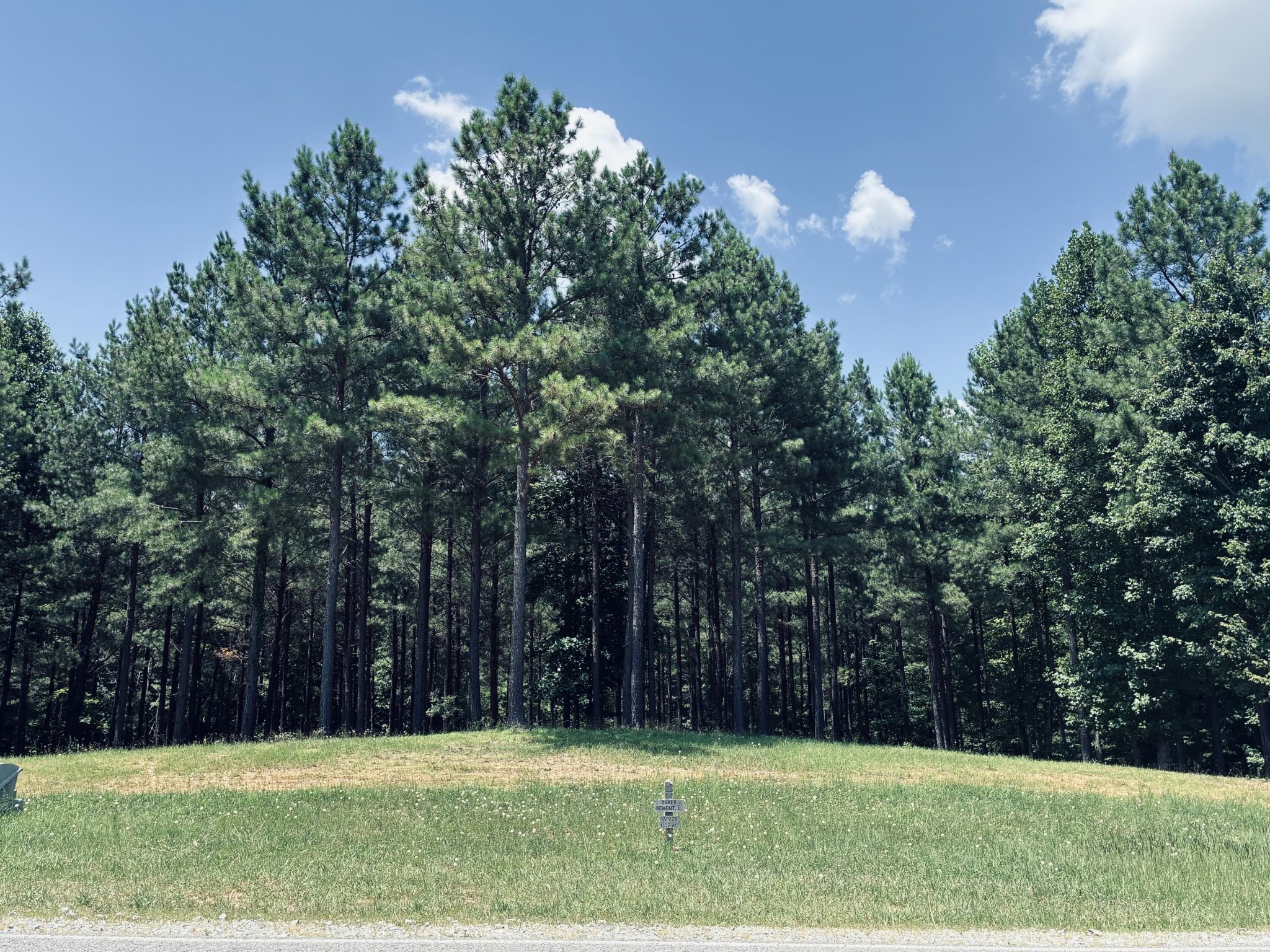 1711 Raulston Falls Road Property Photo 1
