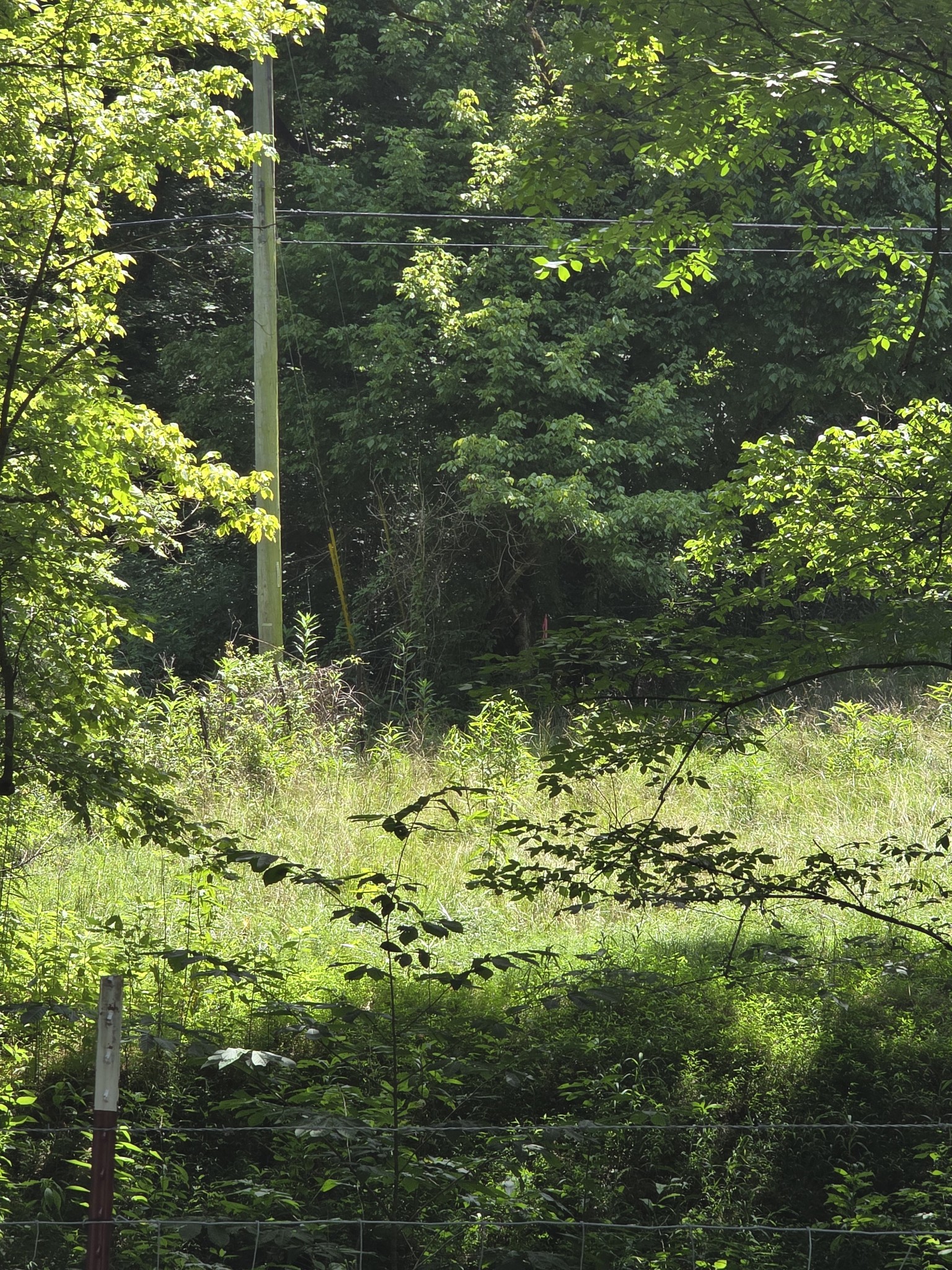 0 Difficult Ln Property Photo 1