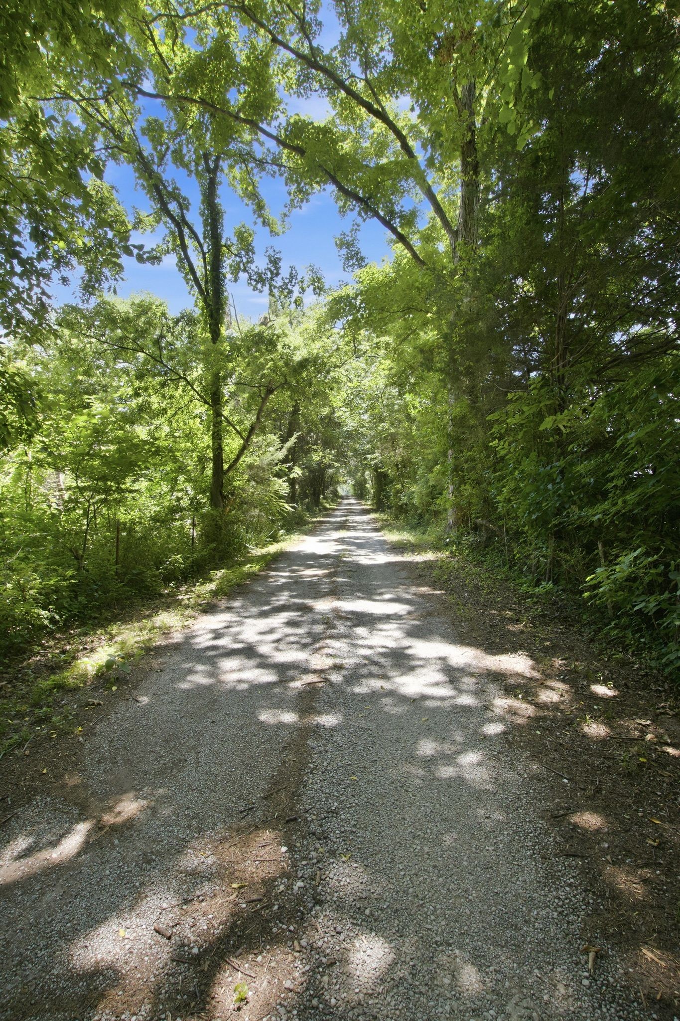 148 Wade Jennings Rd Property Photo 1