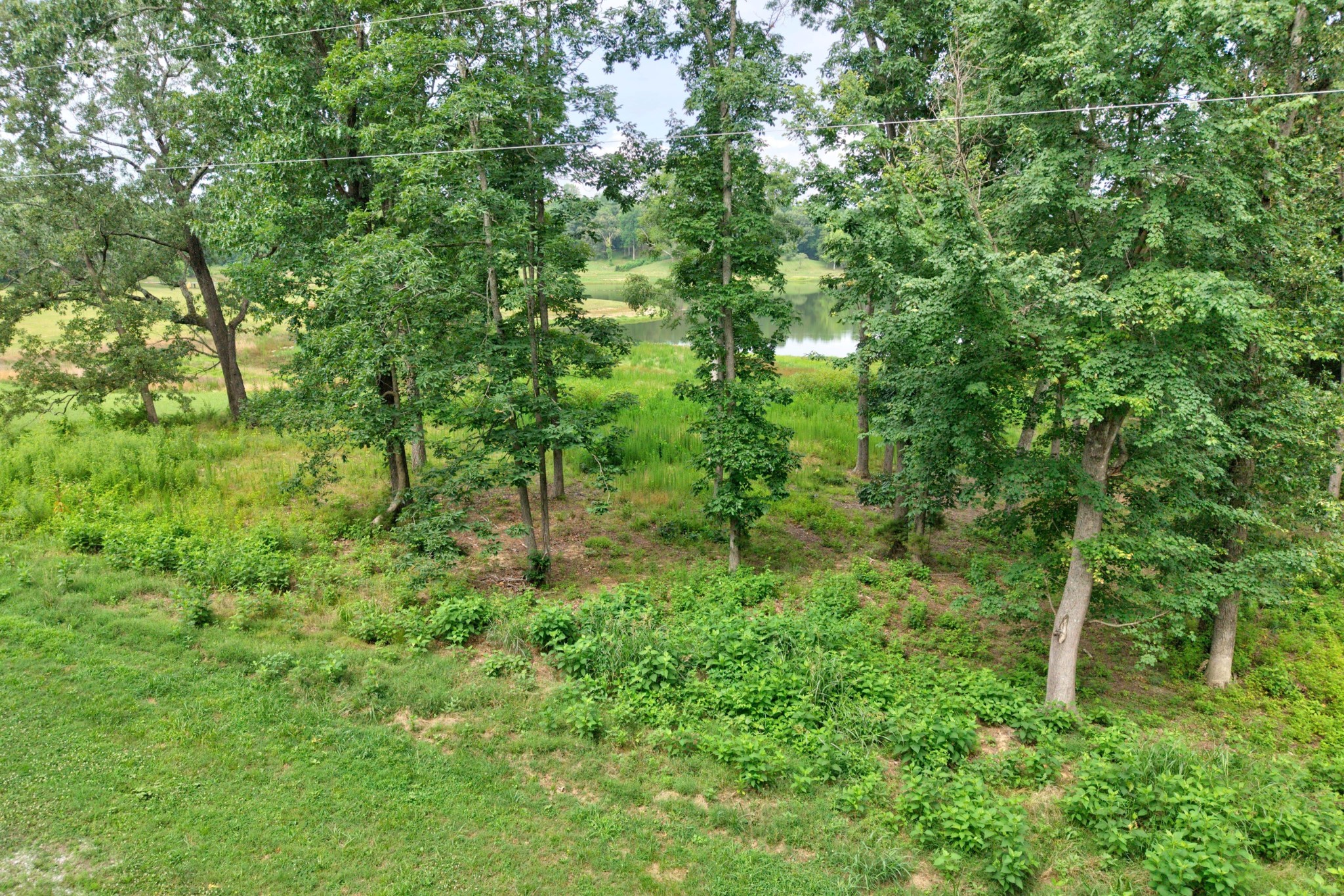 0 Eagle View Ln Property Photo 6