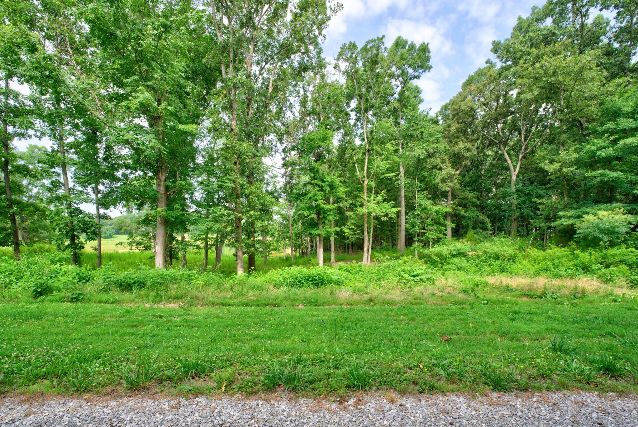 0 Eagle View Ln Property Photo 14
