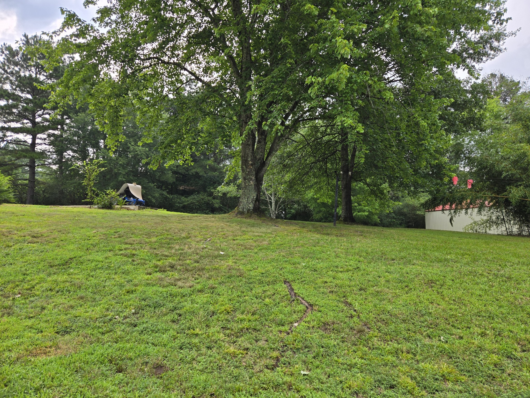 90 Wren Ave Property Photo 19