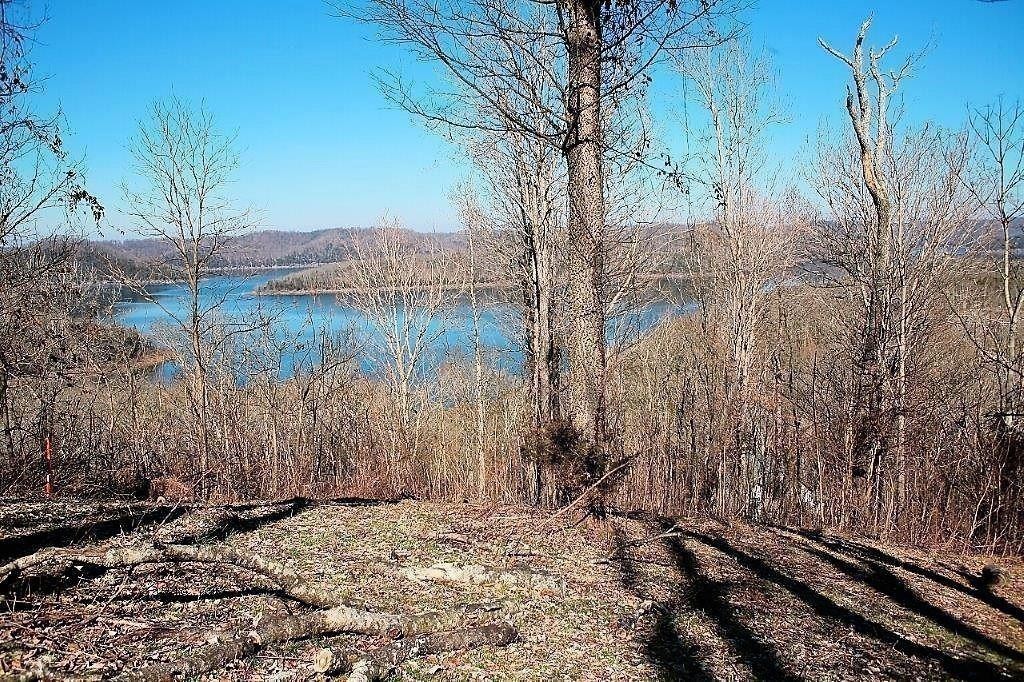 411 Maury Lane Property Photo 1