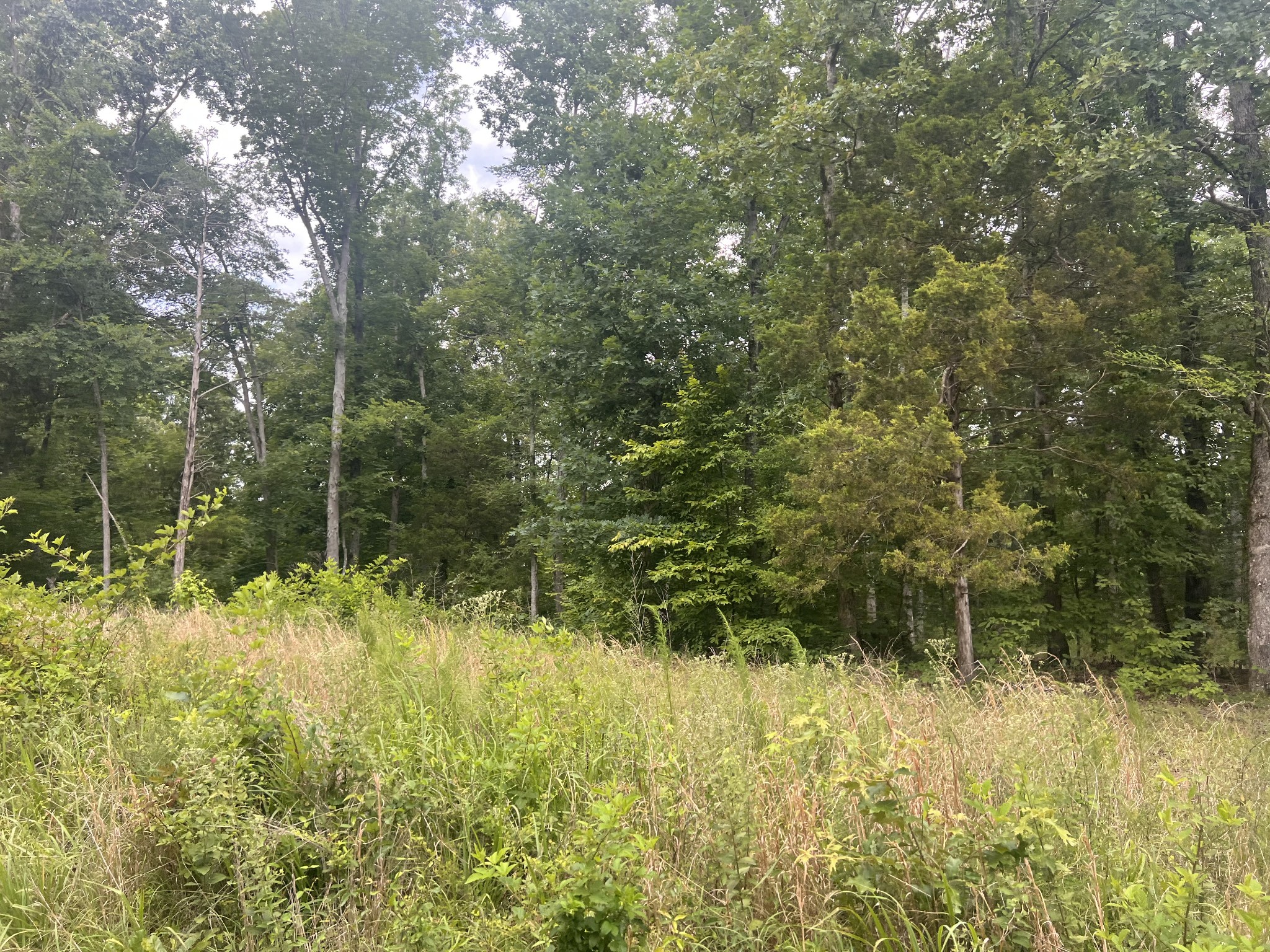 5 Toms Creek Lake Rd