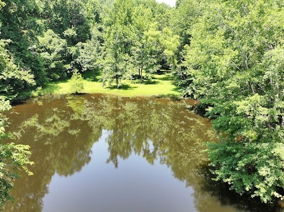 620 Eva Flatwoods Rd Property Photo 7