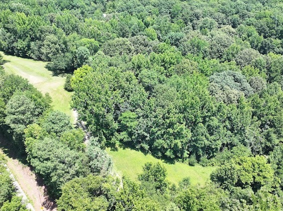 620 Eva Flatwoods Rd Property Photo 15