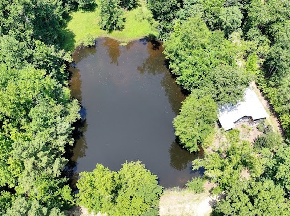 620 Eva Flatwoods Rd Property Photo 17