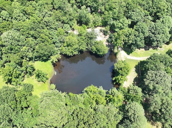 620 Eva Flatwoods Rd Property Photo 20