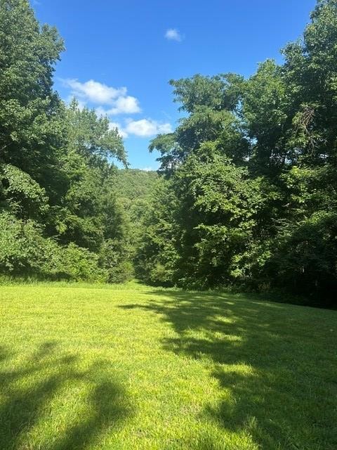 620 Eva Flatwoods Rd Property Photo 23