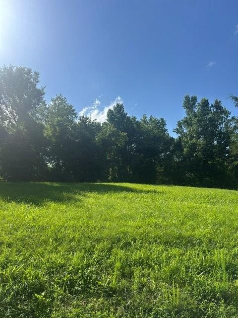 620 Eva Flatwoods Rd Property Photo 24