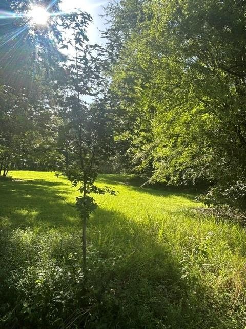 620 Eva Flatwoods Rd Property Photo 26