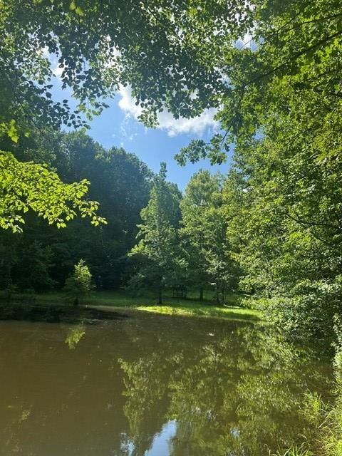 620 Eva Flatwoods Rd Property Photo 27