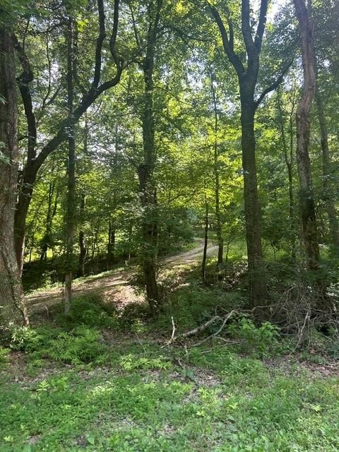620 Eva Flatwoods Rd Property Photo 28