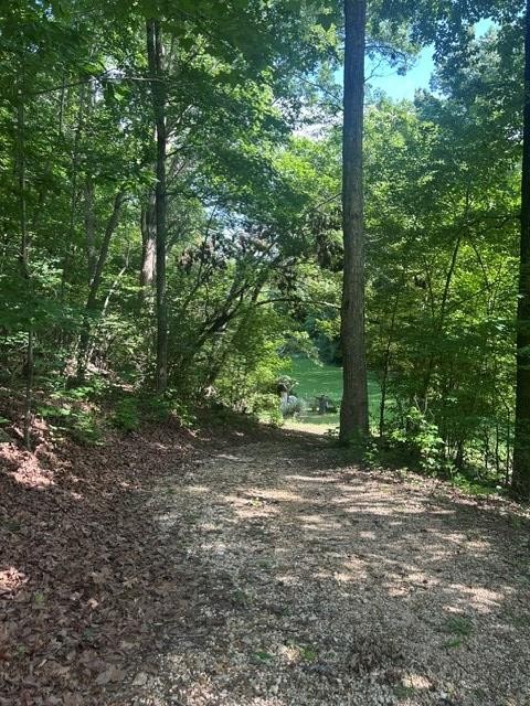 620 Eva Flatwoods Rd Property Photo 32