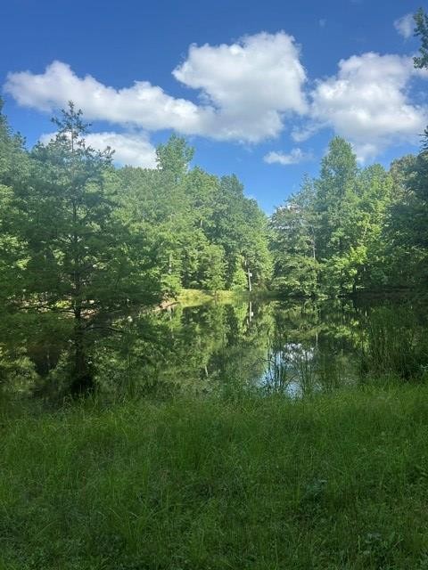 620 Eva Flatwoods Rd Property Photo 33