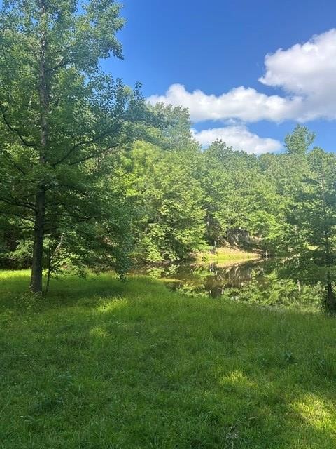 620 Eva Flatwoods Rd Property Photo 36
