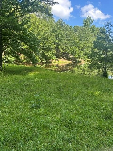 620 Eva Flatwoods Rd Property Photo 37