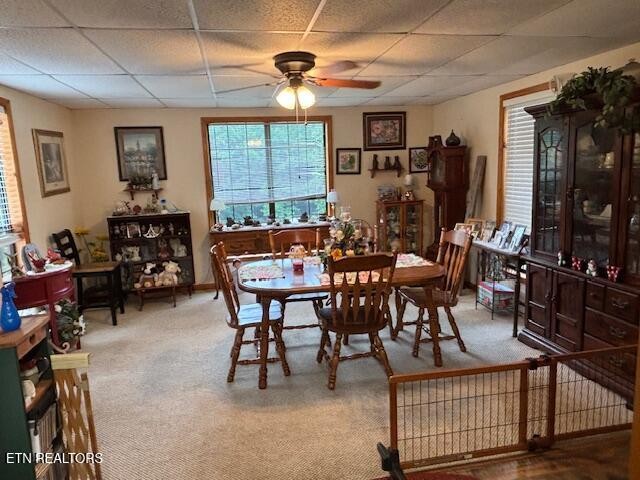 331 Briley Rd Property Photo 19