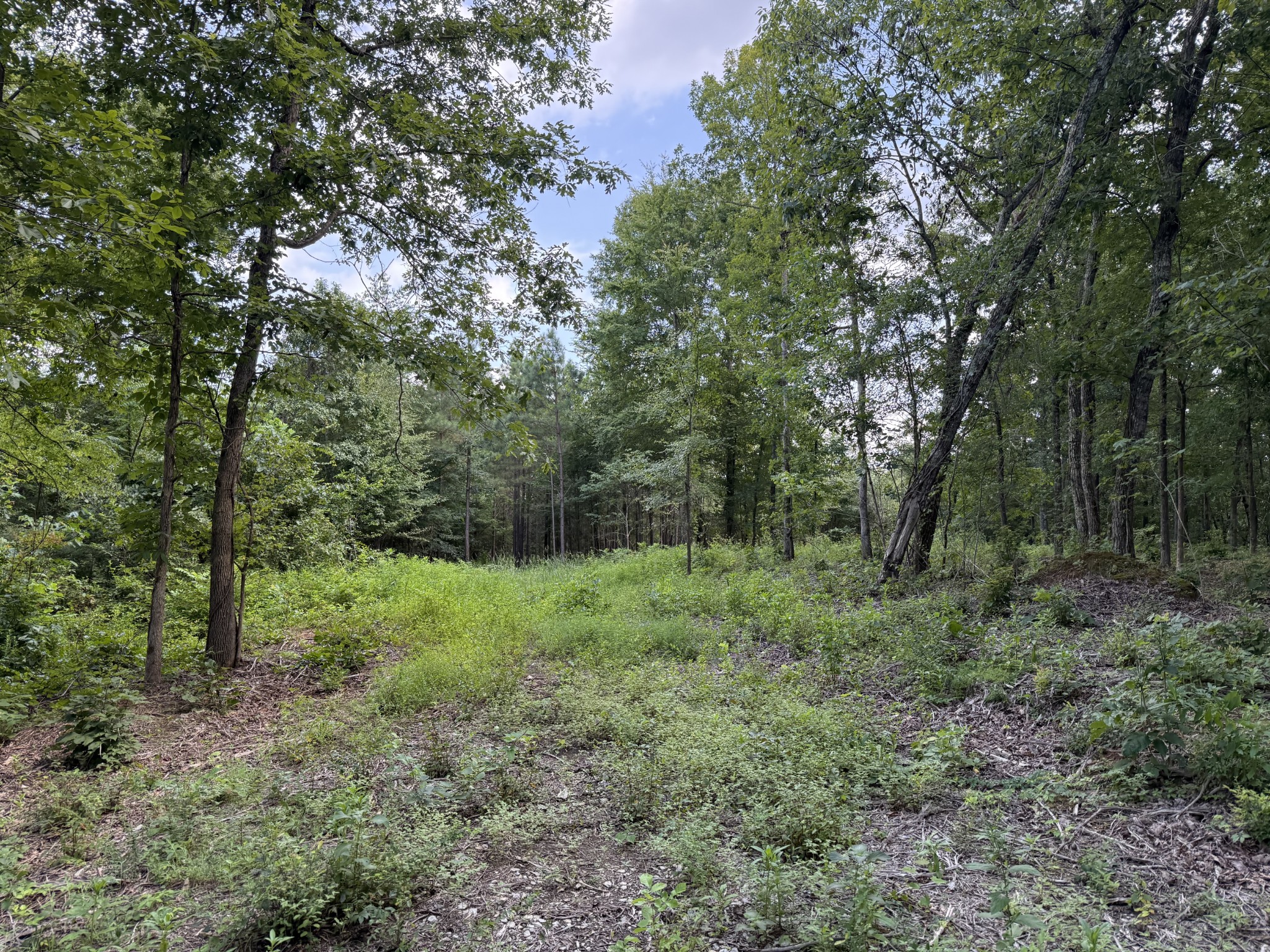 0 Topside Drive Property Photo 3