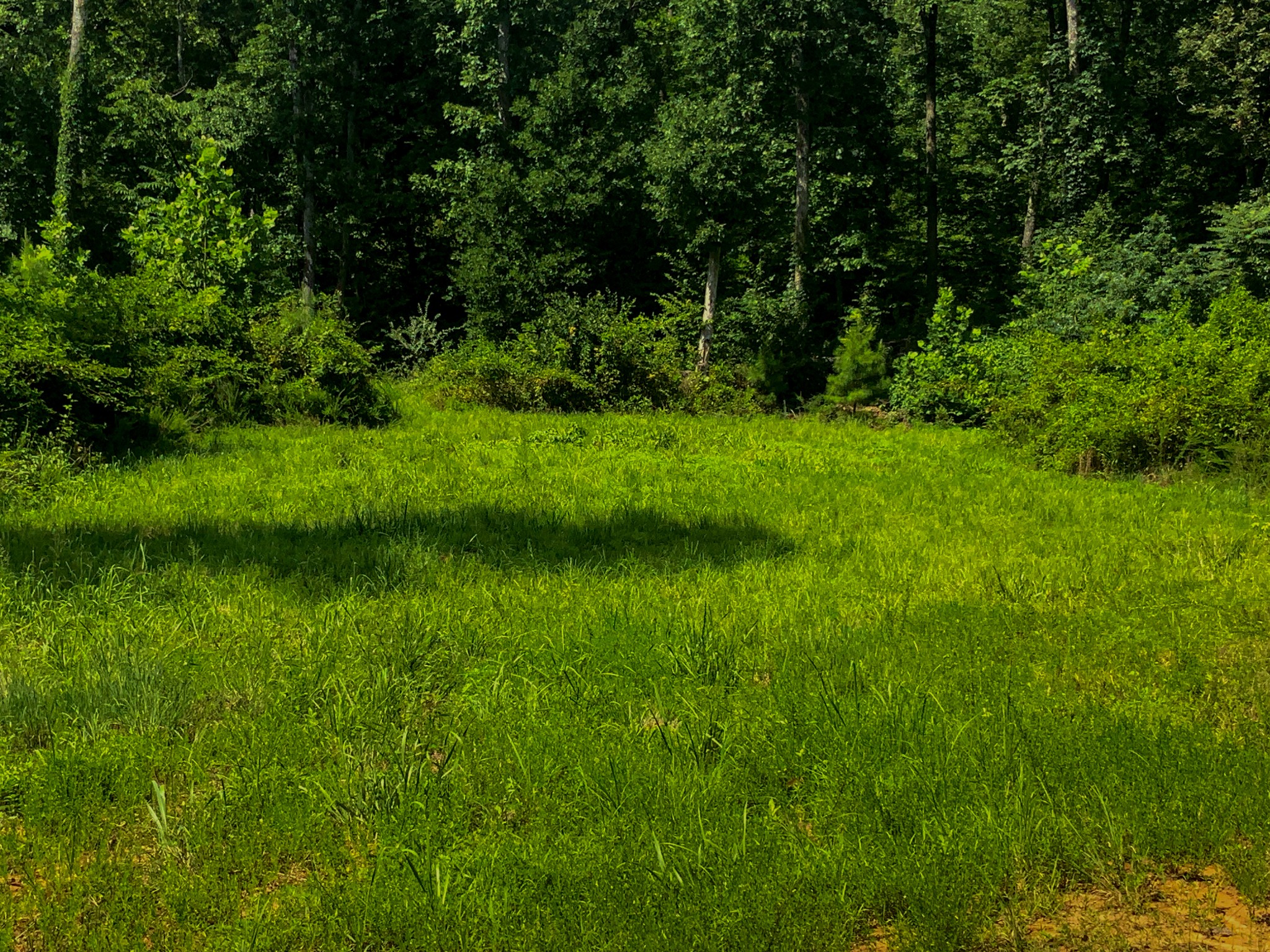 0 Topside Drive Property Photo 7