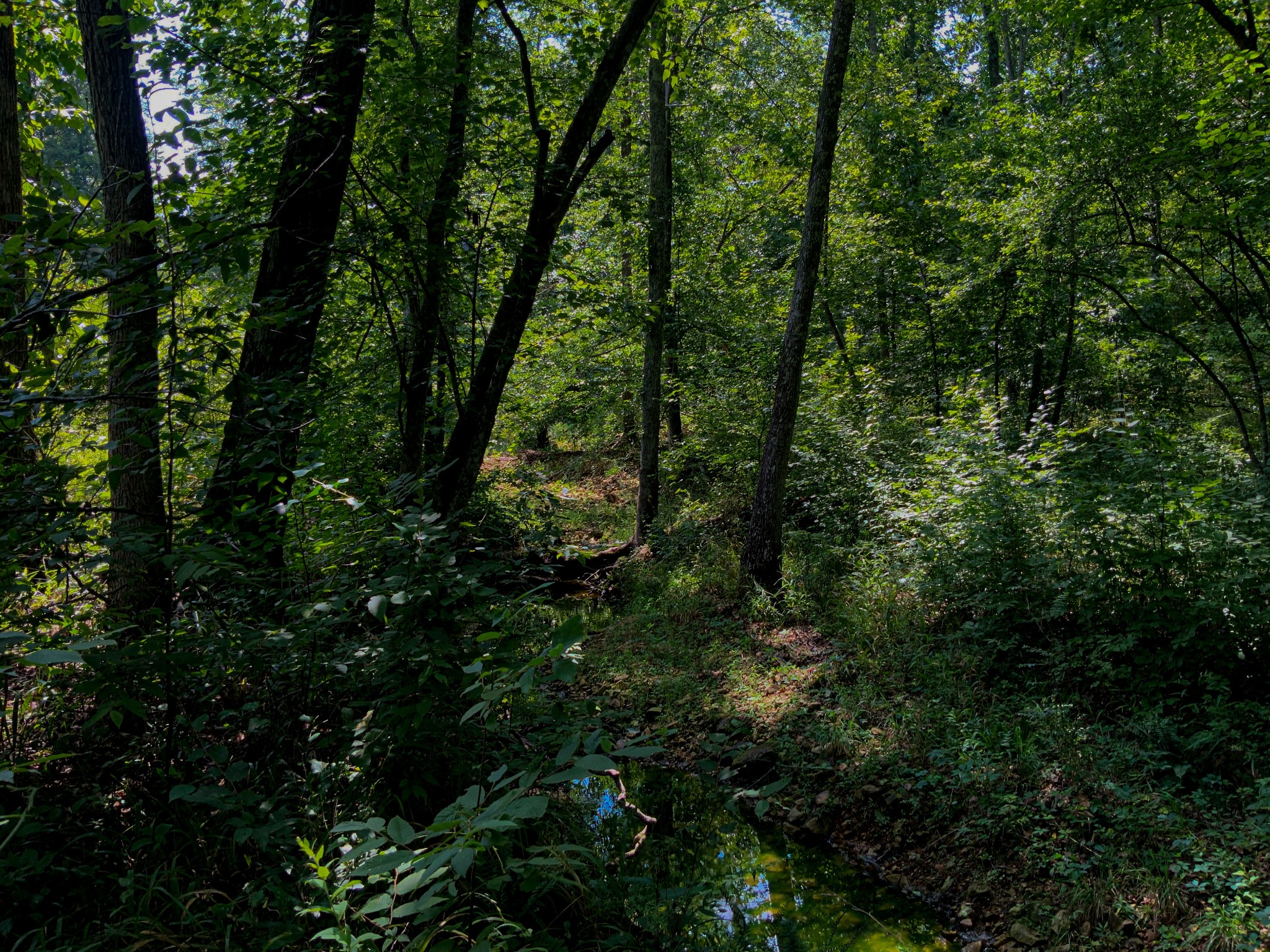 0 Topside Drive Property Photo 10