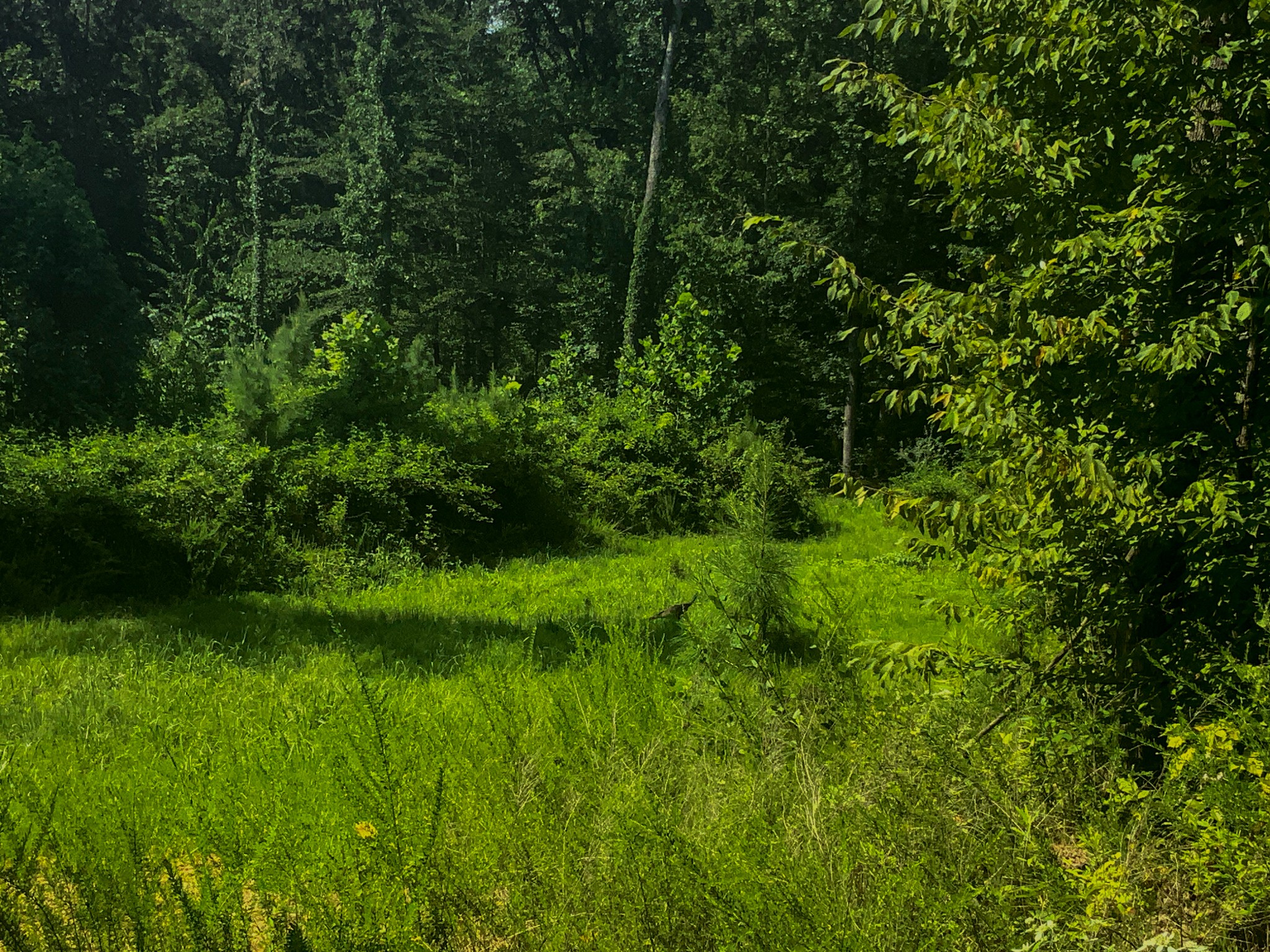 0 Topside Drive Property Photo 18
