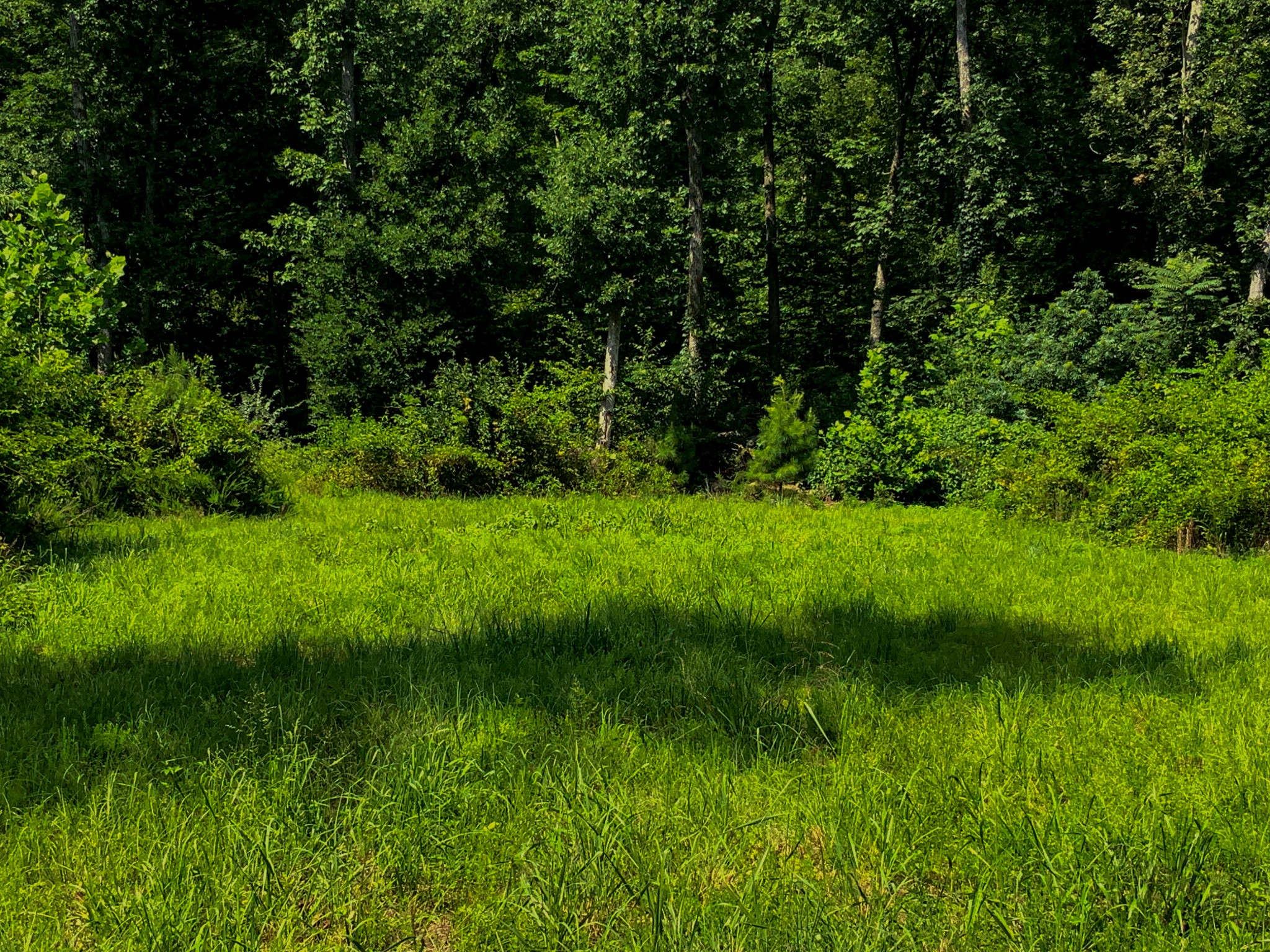 0 Topside Drive Property Photo 22