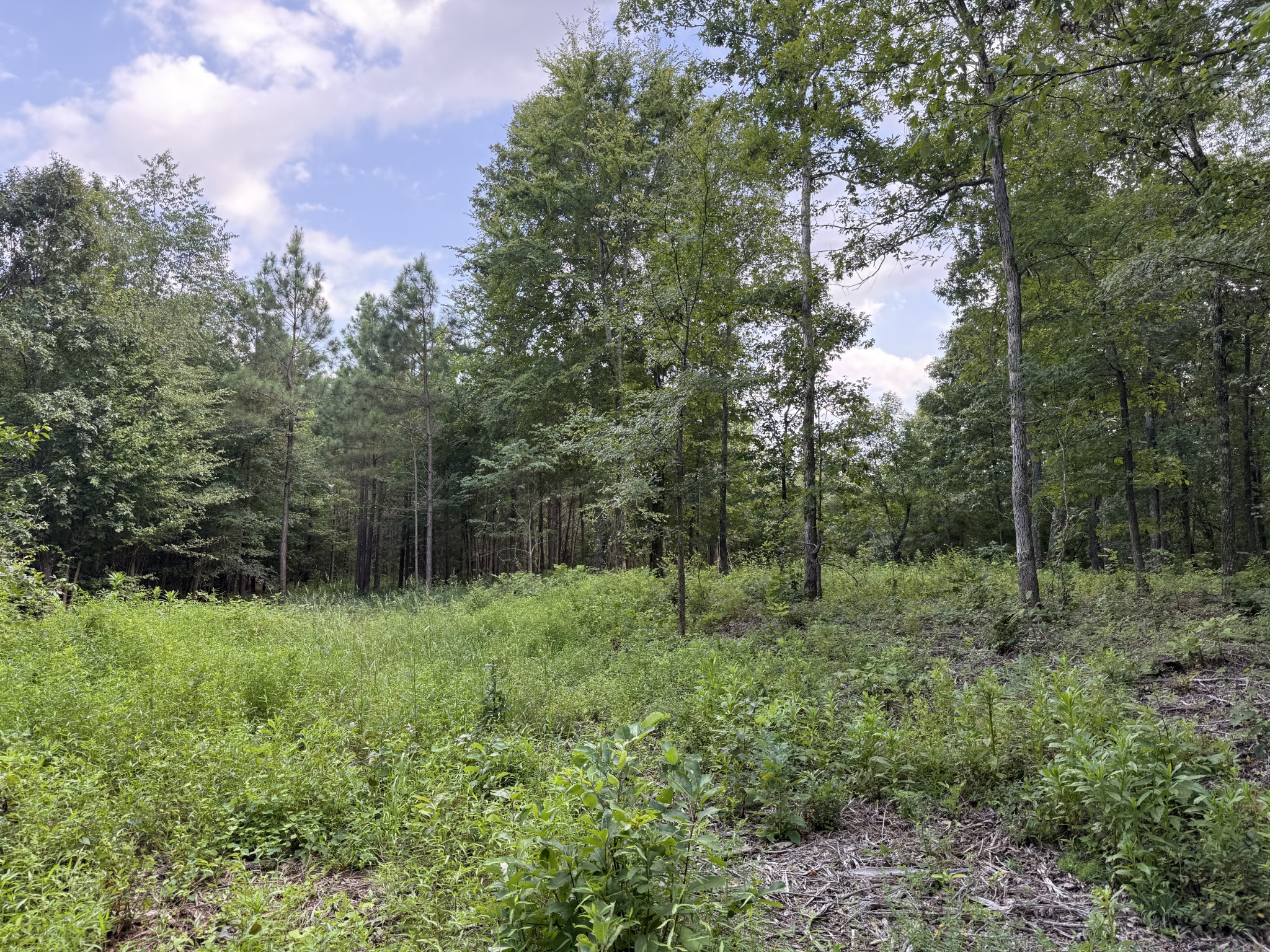 0 Topside Drive Property Photo 24