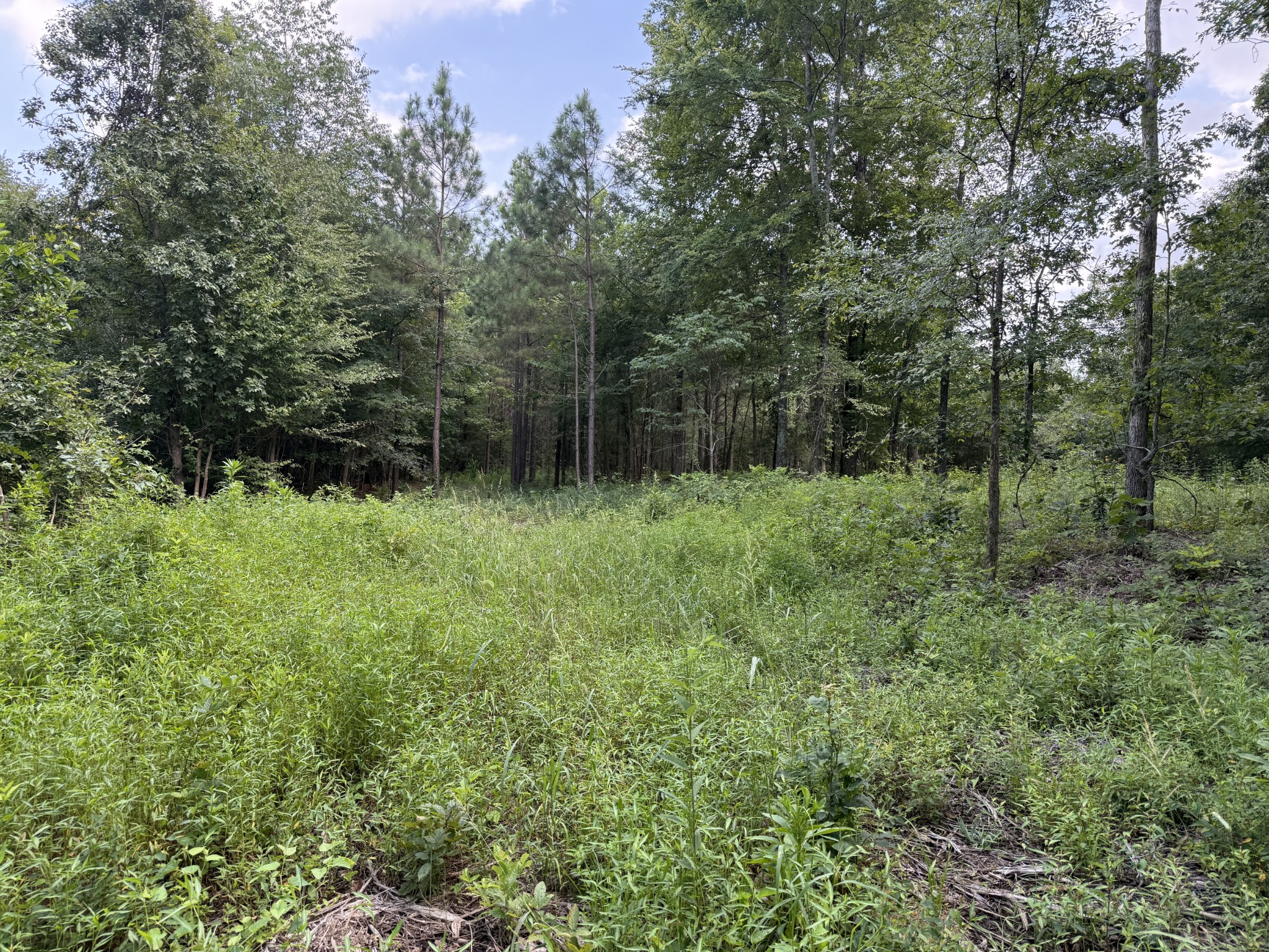 0 Topside Drive Property Photo 25