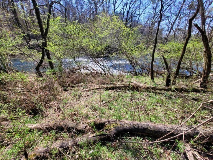 4311 Fir Tree Way Property Photo 43