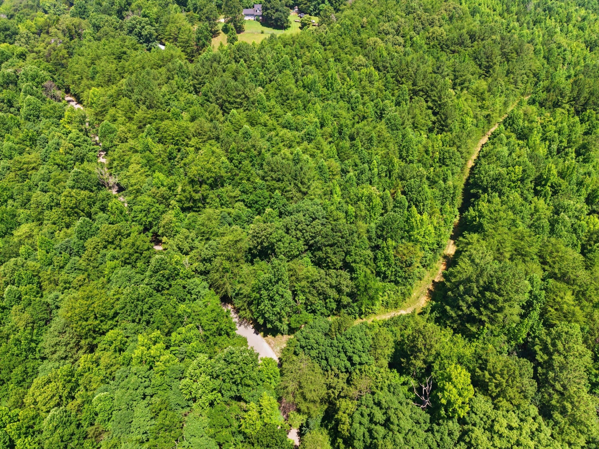 0 W Francis Springs Road Property Photo 1
