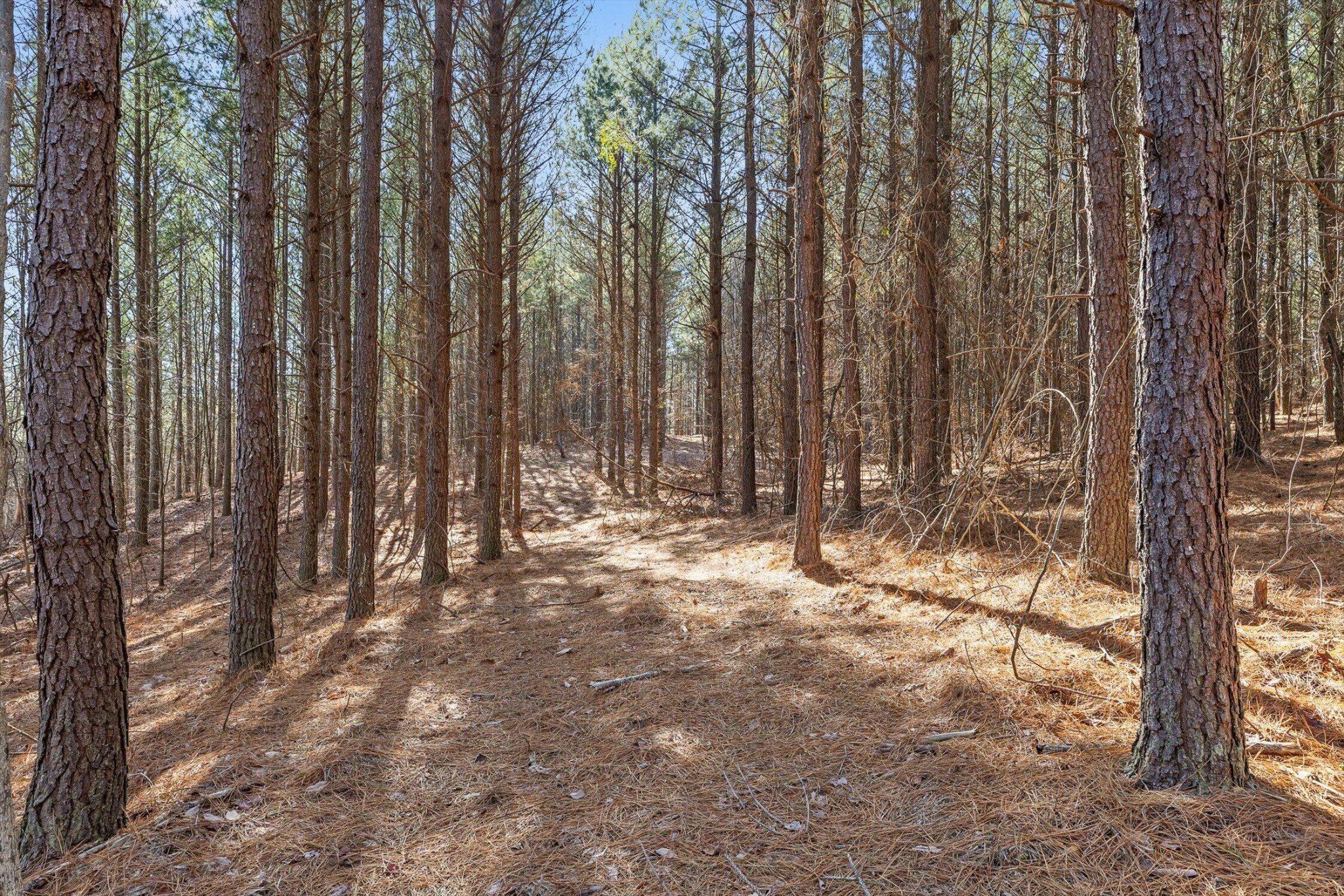 0 Wildlife Way Property Photo 3